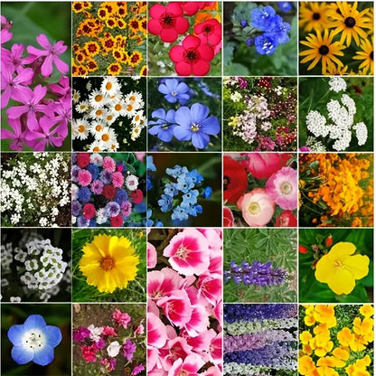 Varieties of Flower Seeds - Plant Supplement Free